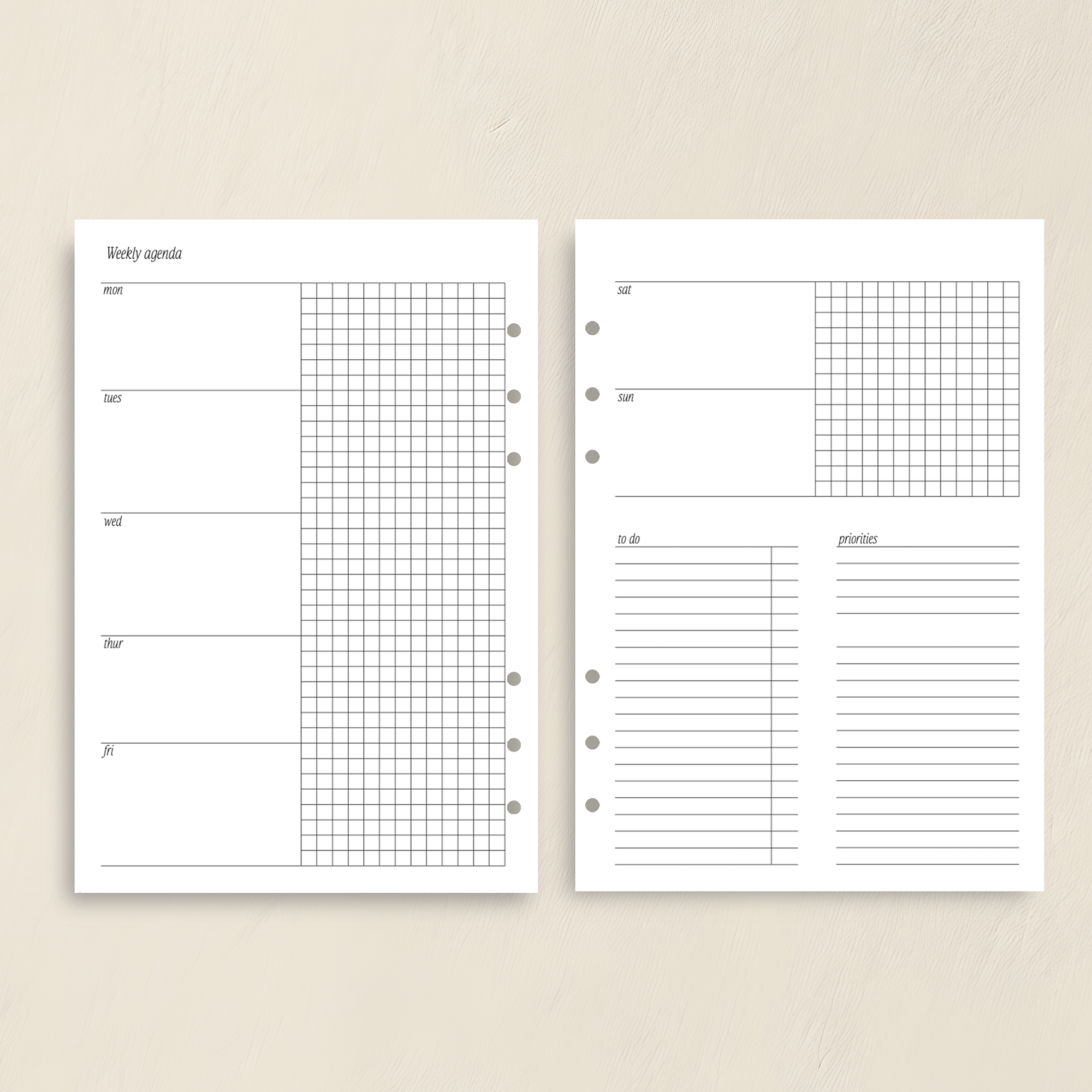 Weekly Agenda WO2P GRAPH (Week On Two Page) Insert