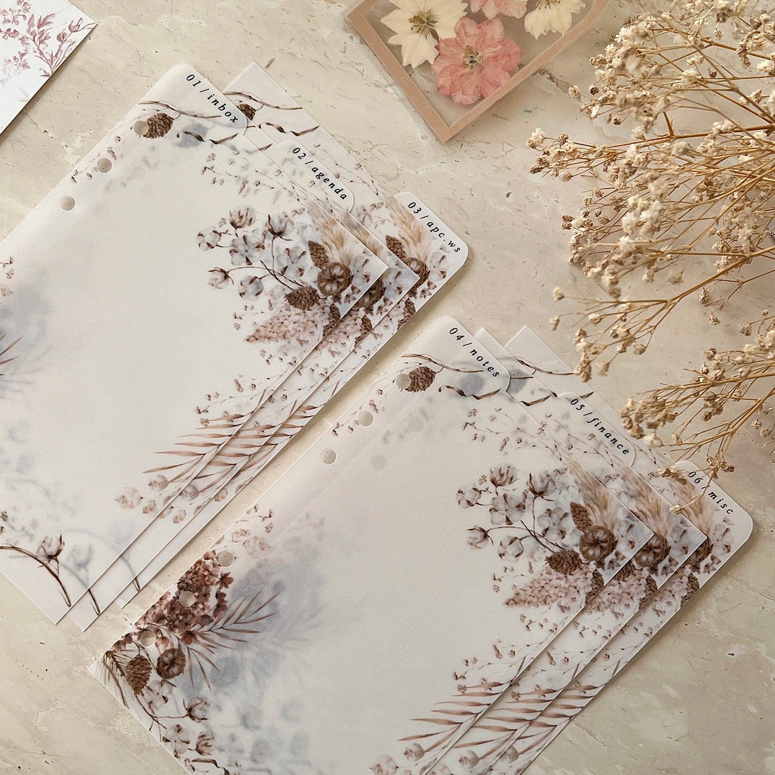 Boho Dividers | Vellum